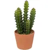 Atmosphera Créateur D'intérieur - Cactus artificiel Ali rose terracotta H25cm