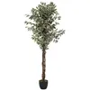 Atmosphera Créateur d'intérieur - Plante Artificielle Ficus 180cm Vert