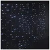 FEERIC LIGHT & CHRISTMAS Guirlande lumineuse programmable  Rideau 20 tombées 300 LED Blanc froid