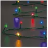 Guirlande de Noël 500 Leds Fil vert Multicolore - Feeric Christmas