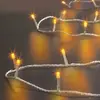 LA BOUTIQUE DE NOEL Guirlande Lumineuse Extérieur 10 mètres 100 LED Blanc chaud 8 jeux de lumière
