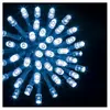 AC-DECO Guirlande extérieure 100 LED Bleu - FEERIC CHRISTMAS