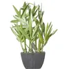 Atmosphera Créateur D'intérieur - Bambou artificiel pot céramique H26cm