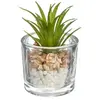 Plante artificielle - H10 cm - Modèle 3 - Atmosphera createur d'interieur