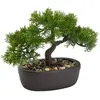 Atmosphera Bonsai Pot Ceramique H.23cm -