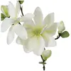Atmosphera - Tige de Magnolia Artificiel - H83 cm