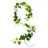 Atmosphera Créateur D'intérieur - Guirlande de lierre artificiel H190cm