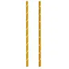 Paille FIVE x100 Papier Jangal