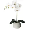 Orchidée artificielle pot ciment H53cm Atmosphera Créateur D'intérieur