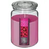 Atmosphera Bougie Parfumée Framboise Pot en verre 510 G