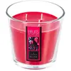 Atmosphera Créateur D'intérieur - Bougie parfumée fruits rouges 500g