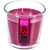 Atmosphera Créateur D'intérieur - Bougie parfumée framboise 500g