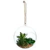 ATMOSPHERA 3S. x Home Plante artificielle et Boule en verre H17 vert