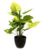 Atmosphera Créateur D'intérieur - Plante artificielle pot ciment H45cm