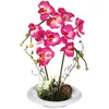 Atmosphera Composition orchidée en vase H46 fushia