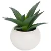 Plante grasse en pot H13 Atmosphera créateur d'intérieur