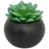 Atmosphera Créateur D'intérieur - Plante grasse en pot H13