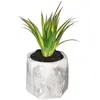 Atmosphera Créateur D'intérieur - Plante grasse artificielle pot ciment H14cm