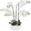 Atmosphera - Orchidée artificielle - pot céramique blanc H65 cm