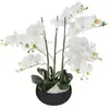 Atmosphera Plante artificielle Orchidée dans Pot en céramique noire H 62 cm