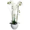 ATMOSPHERA Plante artificielle Orchidée dans un pot en céramique blanche H 53 cm