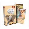 Jeu de société éducatif Bioviva Défis Nature des Petits Savane