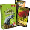 BIOVIVA - Défis Nature - Dinosaures 2 - Jeu de société ludique dès 7 ans - 2280112
