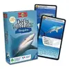 Jeu de cartes - BIOVIVA - Défis nature requins - Enfant - 7 ans - Mixte