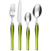 Amefa Purity - Panier Fil 24 Pièces Vert Couverts Laguiole