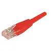 Dexlan Cordon reseau patch UTP CAT 6 0,50 m Rouge