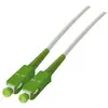 Pearl Jarretière optique pour Box Fibre - 10m