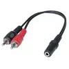 GENERIQUE Adaptateur Jack 3.5 mm vers 2 x RCAM - 0,20 m