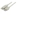 CUC Exertis Connect Dexlan Rallonge USB 2.0 type AA M/F 5 m