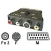 Dexlan - Adaptateur audio/vidéo - S-Vidéo / vidéo composite - 4 broches mini-din, RCA pour SCART mâle