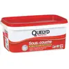 Peinture sous-couche - QUELYD - 2.5 L - Blanc - Mat - Monocouche