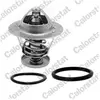VERNET S.A.S. Thermostat d'eau pour JAGUAR: X-Type & FORD: Transit/Tourneo (Ref: TH7253.88J)