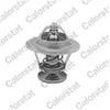 Thermostat d'eau CALORSTAT TH5077.92J - Réf. TH5077.92J