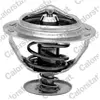 COLORSTAT Thermostat d'eau CALORSTAT TH7280.92J - Réf. TH7280.92J