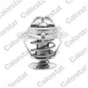 COLORSTAT VERNET S.A.S. Thermostat d'eau pour HYUNDAI: H1 & KIA: K2500 (Ref: TH6294.88J)
