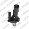 Thermostat d'eau COLORSTAT BY VERNET TH6879.82J
