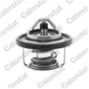 Thermostat d'eau CALORSTAT BY VERNET TH6737.88J