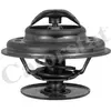 VERNET S.A.S. Thermostat d'eau (Ref: TH1513.80J)