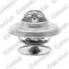 VERNET S.A.S. Calorstat TH1476.79J Thermostat d'eau