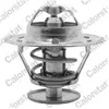 Calorstat TH1514.81J Thermostat d'eau