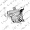 Calorstat VERNET S.A.S. Thermostat d'eau pour MERCEDES-BENZ: Classe G (Ref: TH6850.87J)