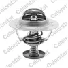 Calorstat Thermostat d'eau TH6583.82J