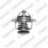 Calorstat Thermostat d'eau COLORSTAT BY VERNET TH6702.82J