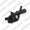 Thermostat d'eau CALORSTAT BY VERNET TH6666.89J