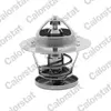 Calorstat TH6580.88J Thermostat d'eau