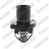 Thermostat d'eau CALORSTAT TH6488.89J - Réf. TH6488.89J